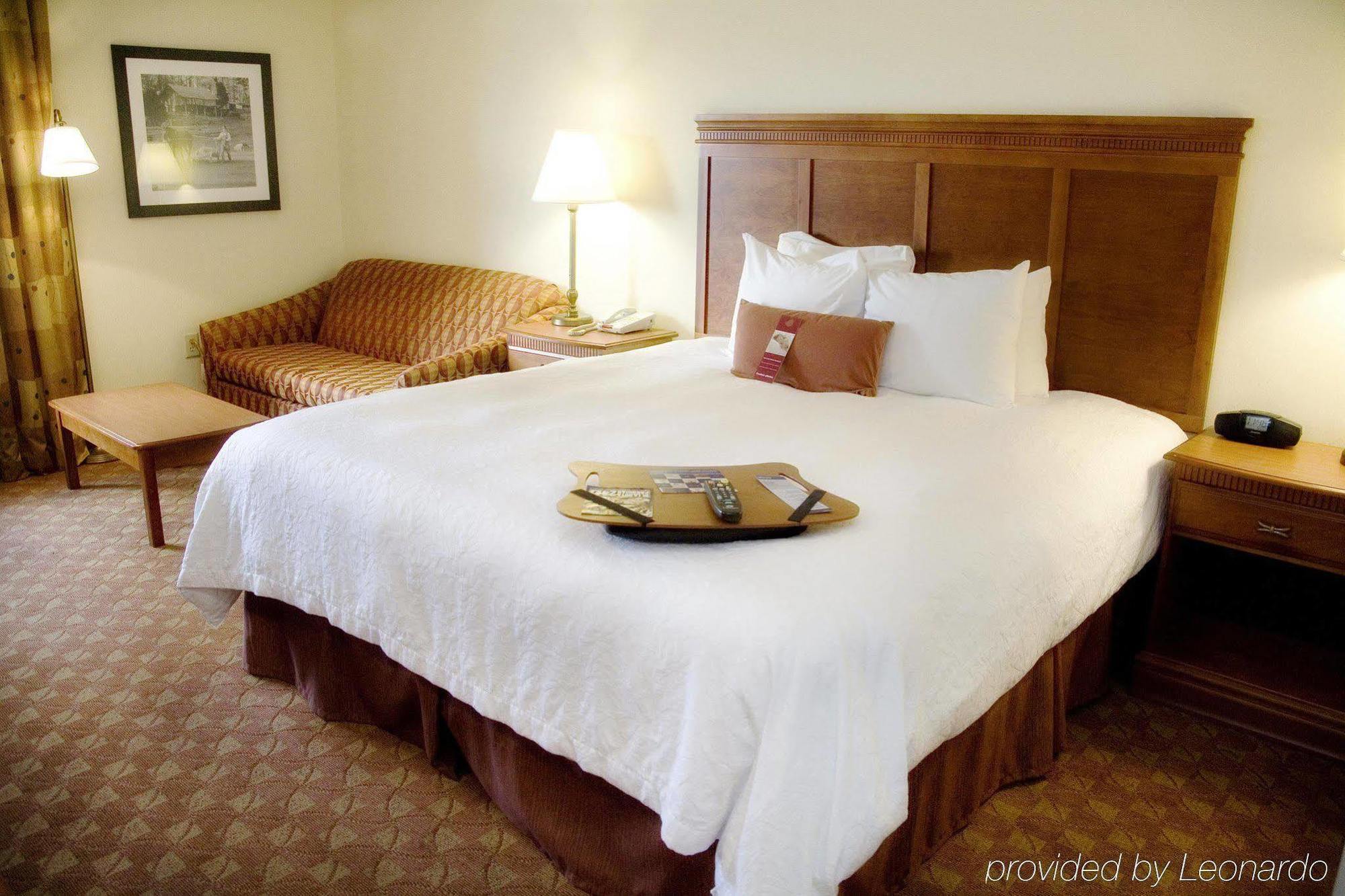Hampton Inn & Suites Knoxville-Downtown Zimmer foto