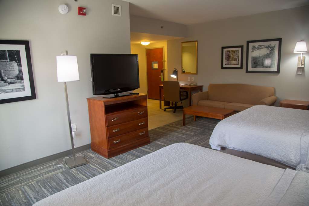 Hampton Inn & Suites Knoxville-Downtown Zimmer foto